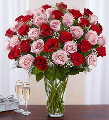 Ultimate Elegance Long Stem Pink & Red Roses