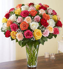 Ultimate Elegance Long Stem Assorted Roses