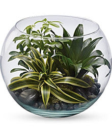 Sphere Terrarium